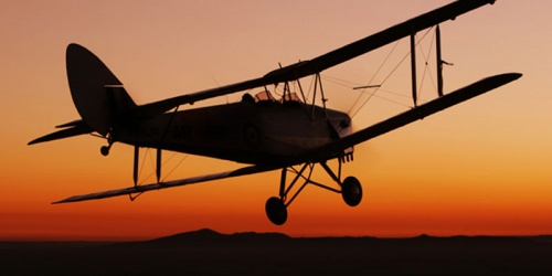 tigermoth-joy-flight-sunset